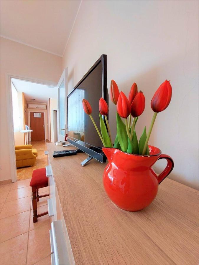 Apartment Big Lasan Водице Экстерьер фото