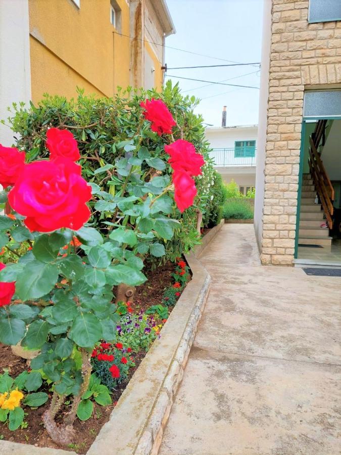Apartment Big Lasan Водице Экстерьер фото